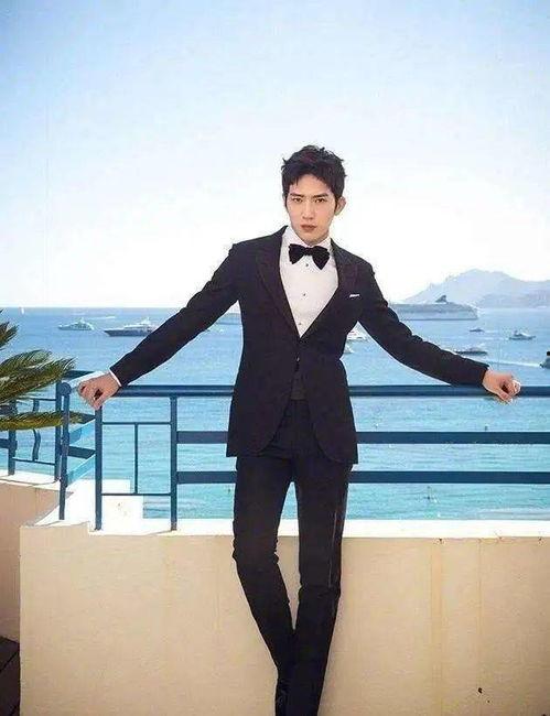 杨洋井柏然最新爆料,幕后故事与心路历程